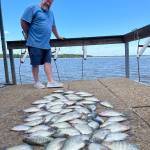 Lake Eufaula crappie fishing with D & K Guide Service
